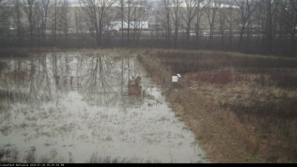 Cell 3 to 4_24-01-26_17-47-59-96