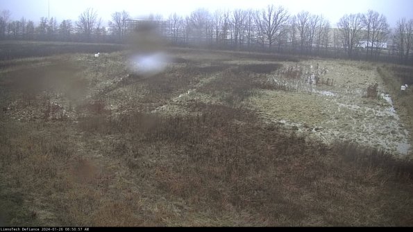 Cell 3_24-01-26_08-50-58-12