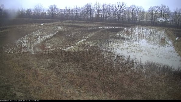 Cell 3_24-01-26_17-14-16-93