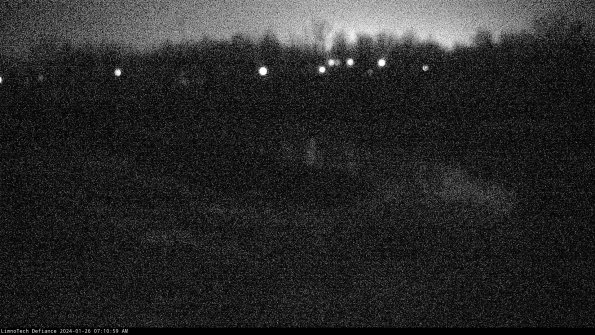 Cell 4_24-01-26_07-10-59-94