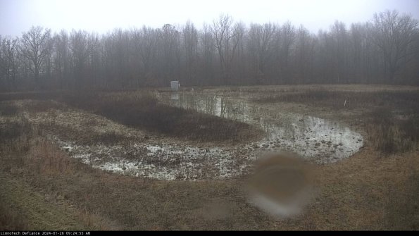 Cell 4_24-01-26_09-24-55-93