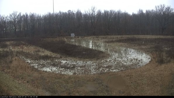 Cell 4_24-01-26_11-39-10-93