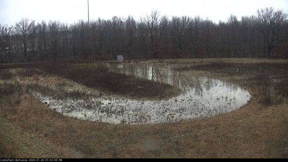 Cell 4_24-01-26_13-53-09-96