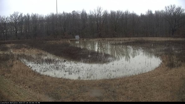 Cell 4_24-01-26_15-00-19-97