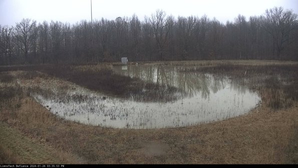 Cell 4_24-01-26_15-35-53-97