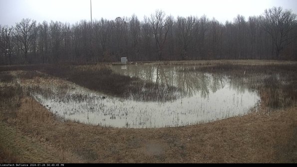 Cell 4_24-01-26_16-40-46-05