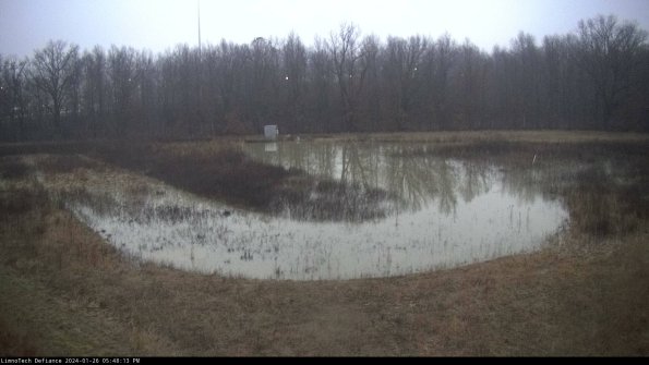 Cell 4_24-01-26_17-48-13-94