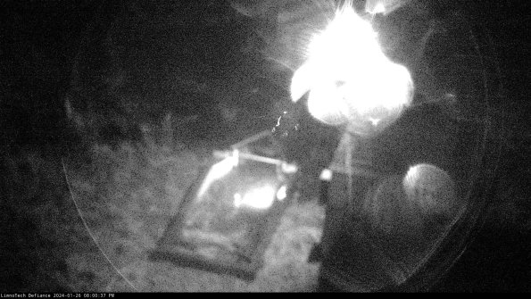 Flume_24-01-26_20-00-37-93