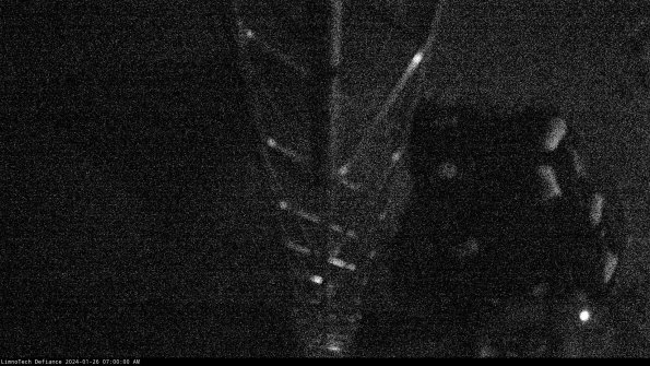 Hatch_24-01-26_07-00-00-88