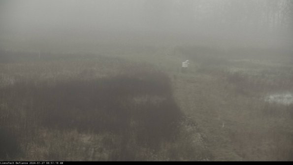 Cell 1 to 2_24-01-27_08-51-19-94