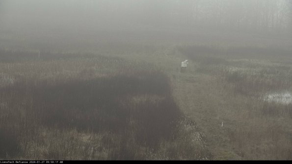 Cell 1 to 2_24-01-27_09-58-17-94