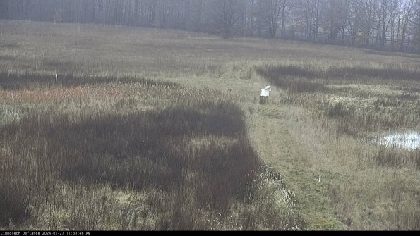 Cell 1 to 2_24-01-27_11-38-46-95