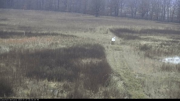 Cell 1 to 2_24-01-27_14-34-30-03