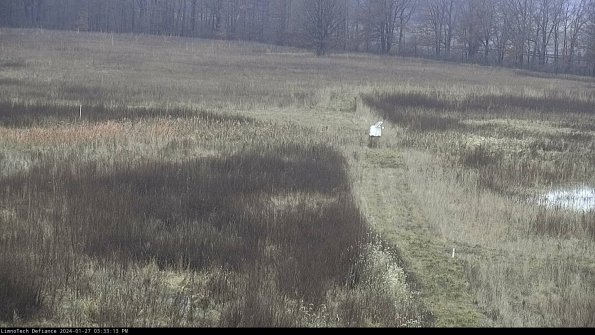 Cell 1 to 2_24-01-27_15-33-13-93