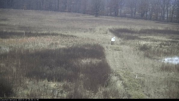 Cell 1 to 2_24-01-27_16-40-12-89