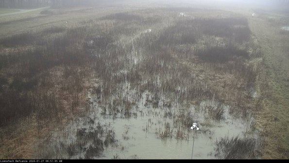 Cell 1_24-01-27_08-51-05-93