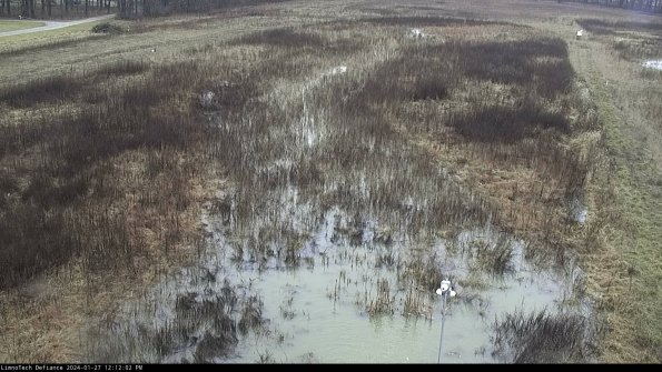 Cell 1_24-01-27_12-12-02-92