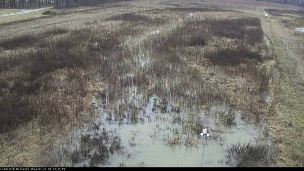 Cell 1_24-01-27_15-32-59-98