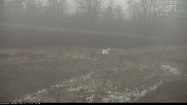 Cell 2 to 3_24-01-27_08-51-45-97