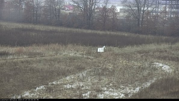 Cell 2 to 3_24-01-27_15-00-10-17