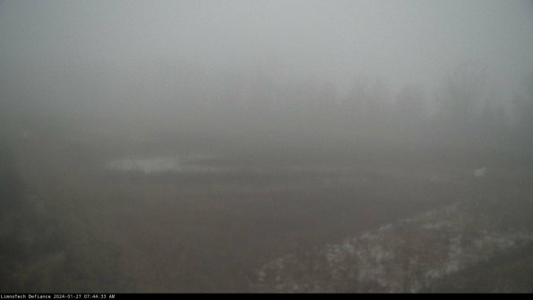 Cell 2_24-01-27_07-44-33-96