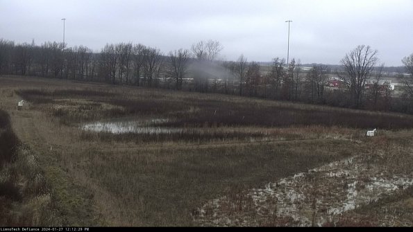 Cell 2_24-01-27_12-12-29-95