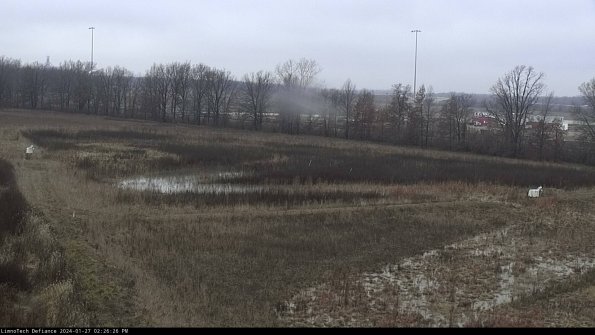 Cell 2_24-01-27_14-26-26-98