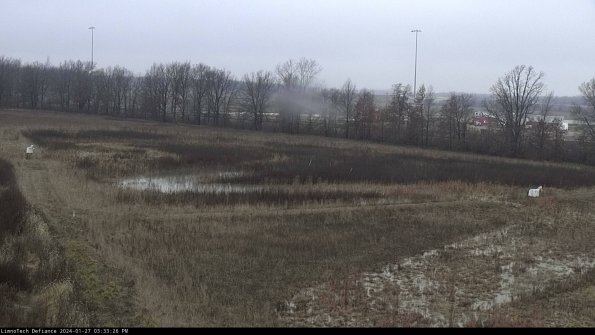 Cell 2_24-01-27_15-33-27-01