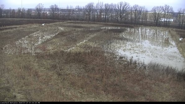 Cell 3_24-01-27_13-53-25-92