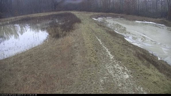 Cell 4 to Basin_24-01-27_11-40-25-95