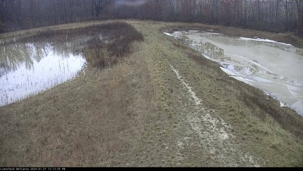 Cell 4 to Basin_24-01-27_12-13-55-93