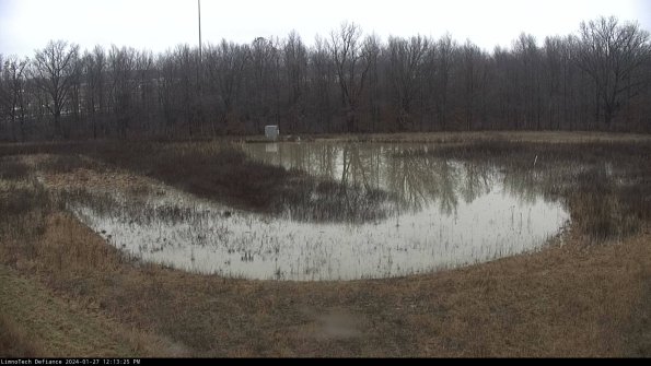 Cell 4_24-01-27_12-13-25-94