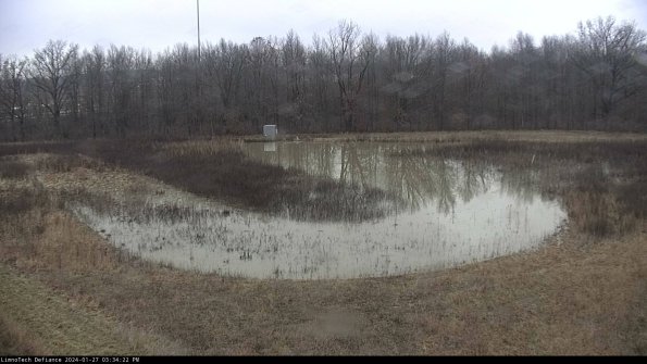 Cell 4_24-01-27_15-34-22-96