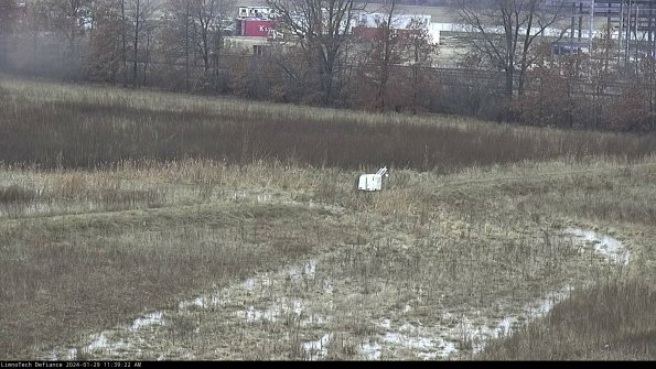 Cell 2 to 3_24-01-29_11-39-23-12