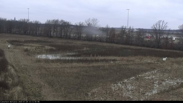 Cell 2_24-01-29_12-12-38-95