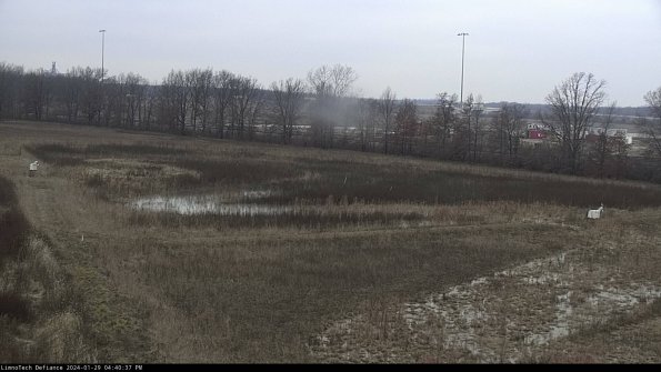 Cell 2_24-01-29_16-40-37-94