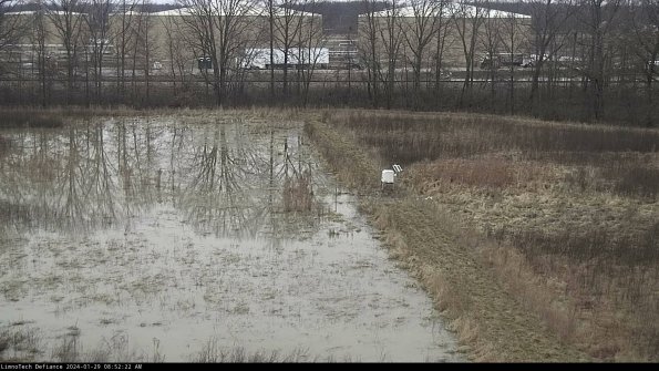 Cell 3 to 4_24-01-29_08-52-22-92