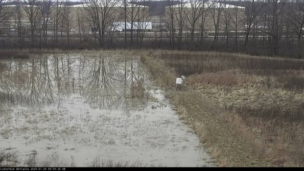 Cell 3 to 4_24-01-29_09-59-20-91