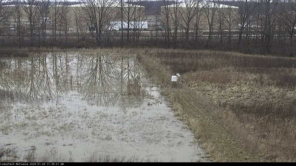 Cell 3 to 4_24-01-29_11-39-51-92