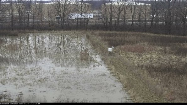 Cell 3 to 4_24-01-29_12-13-20-93