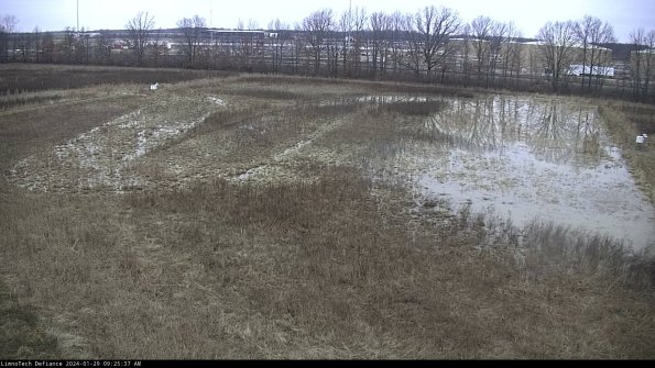 Cell 3_24-01-29_09-25-37-95