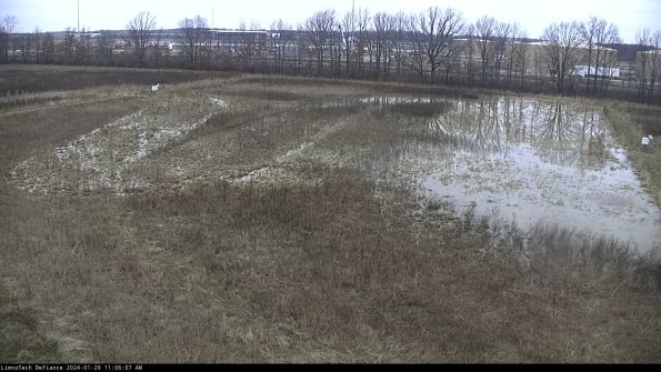 Cell 3_24-01-29_11-06-07-92