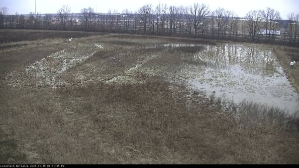 Cell 3_24-01-29_16-41-05-94