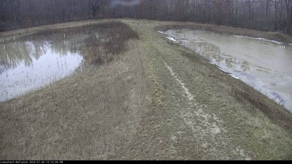 Cell 4 to Basin_24-01-29_12-14-04-94