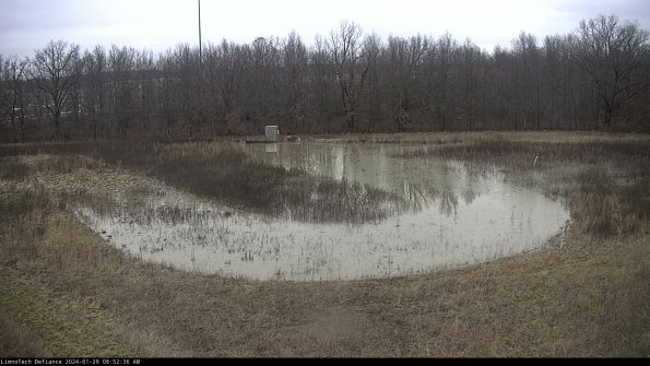 Cell 4_24-01-29_08-52-36-97