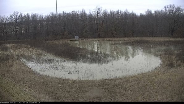 Cell 4_24-01-29_09-59-34-93