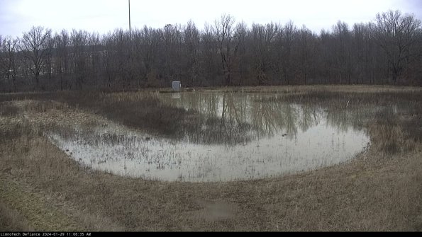 Cell 4_24-01-29_11-06-35-95