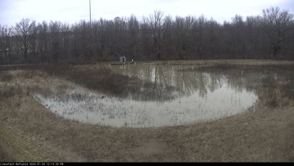 Cell 4_24-01-29_12-13-34-94