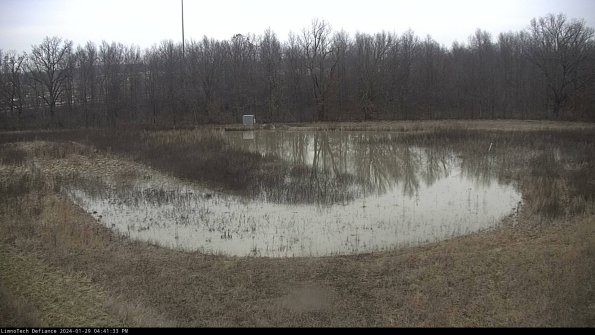 Cell 4_24-01-29_16-41-33-93