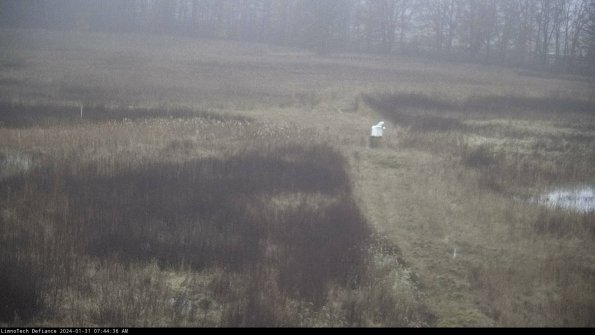 Cell 1 to 2_24-01-31_07-44-36-94